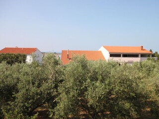 Apartment Stara Novalja  18