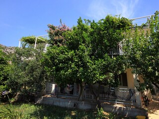 Apartment Korcula (Stadt)  5