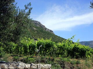 Apartment Korcula (Stadt)  8