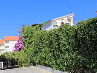 Apartment Okrug Gornji  2