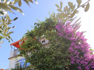 Apartment Okrug Gornji  5