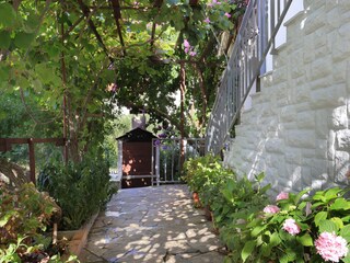 Apartment Okrug Gornji  7