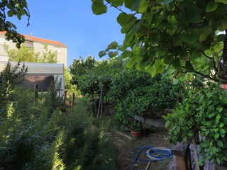 Apartment Okrug Gornji  9