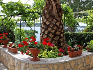 Apartment Supetarska Draga  11