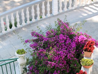 Apartment Supetarska Draga  19