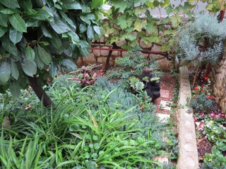 Apartment Mastrinka  6