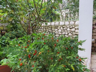 Apartment Mastrinka  8