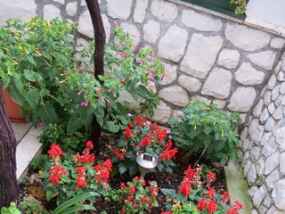 Apartment Mastrinka  9