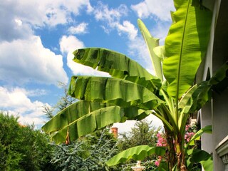 Apartment Novi Vinodolski  5