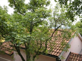 Apartment Novi Vinodolski  33