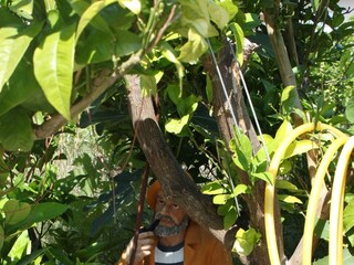 Apartment Drvenik  7