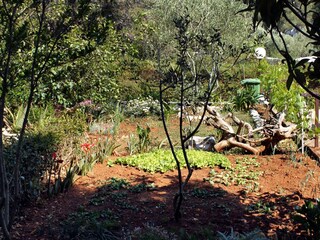 Apartment Verunić  8