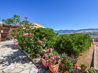 Apartment Pag (Stadt)  15