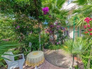 Apartment Okrug Donji  6