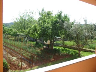 Apartment Štinjan  25