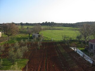 Apartment Štinjan  4