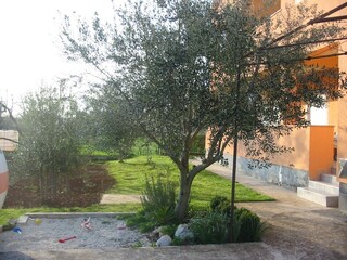 Apartment Štinjan  1