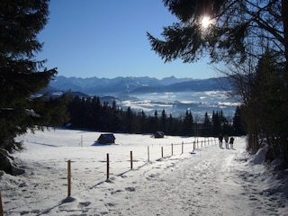 Blick vom Grünten auf Sonthofen