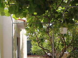 Apartment Veli Losinj  13