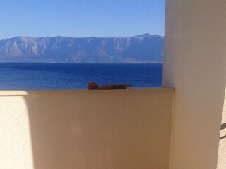 Apartment Zastražišće  26