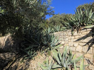 Apartment Pag (Stadt)  7