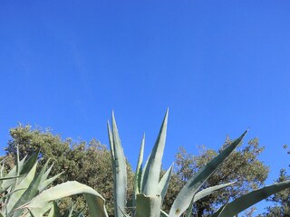 Apartment Pag (Stadt)  9