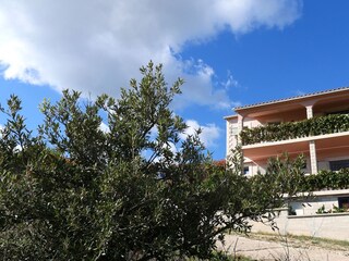 Apartment Vis (Stadt)  3