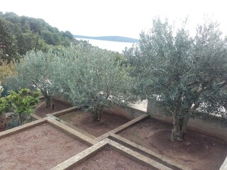 Apartment Vis (Stadt)  8