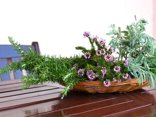 Apartment Vis (Stadt)  27