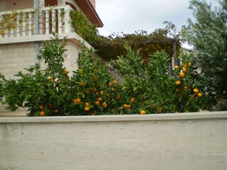 Apartment Vis (Stadt)  8