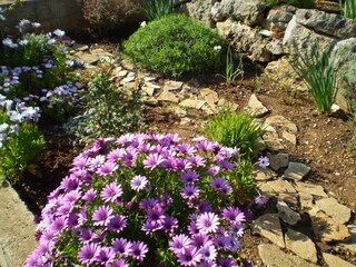 Apartment Vis (Stadt)  9