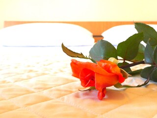 Apartment Vis (Stadt)  20