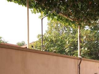 Apartment Vis (Stadt)  26