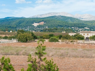 Finca Sa Pobla Environnement 46