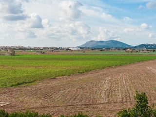 Finca Sa Pobla Umgebung 49