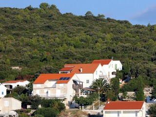 Apartment Zavalatica  8