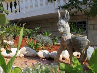 Apartment Zavalatica  14