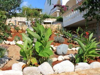 Apartment Zavalatica  9