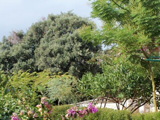 Apartment Zavalatica  12