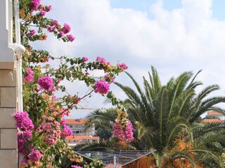 Apartment Zavalatica  16