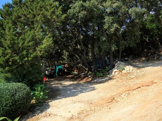 Apartment Zavalatica  18