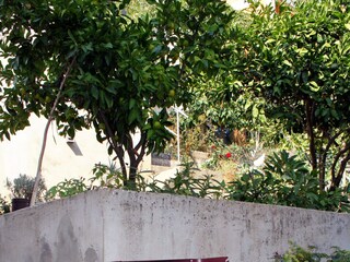 Apartment Zavalatica  8