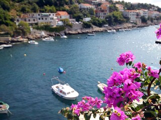 Apartment Zavalatica  26