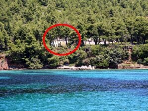 One bedroom apartment with air-conditioning Žuljana, Pelješac A-10233-a