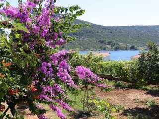 Apartment Vinisce  7