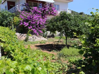 Apartment Vinisce  17