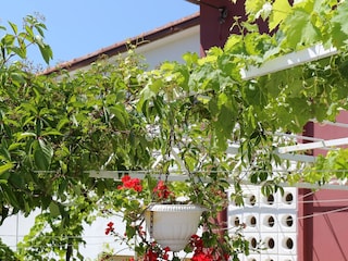 Apartment Vinisce  18