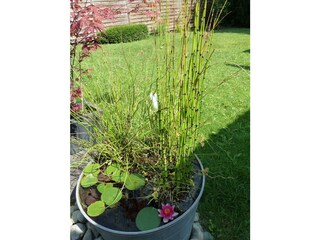 Holiday apartment Stuttgart Outdoor Recording 4