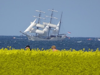 Blick aufs Meer
