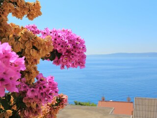 Apartment Okrug Gornji  35